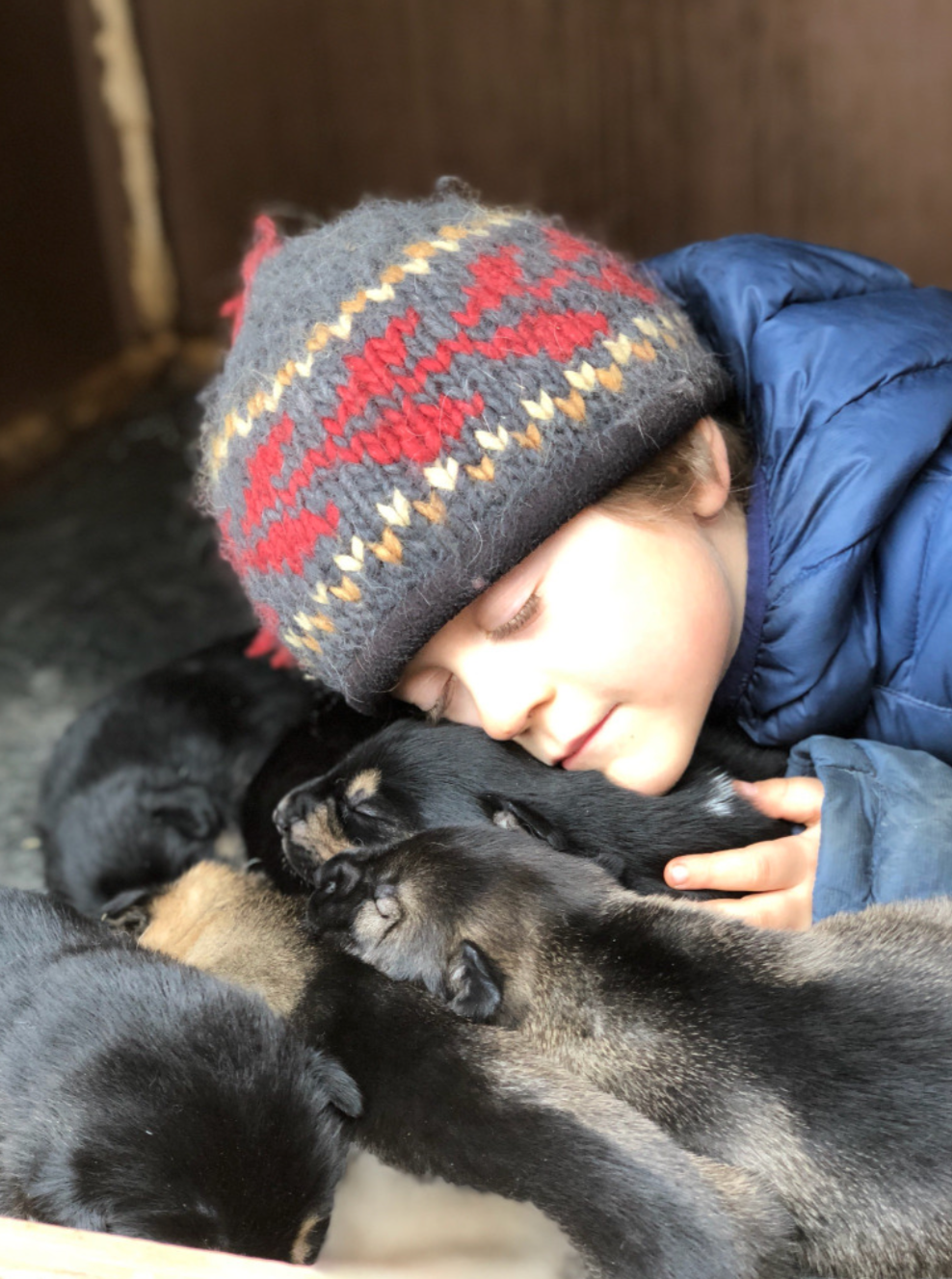 A pile of puppies is definitely a good day
