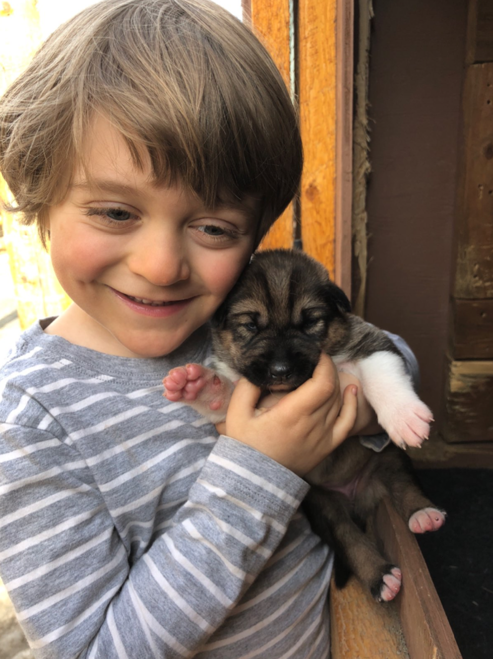 Screen Shot 2020-04-09 at 3.12.42 AM.png