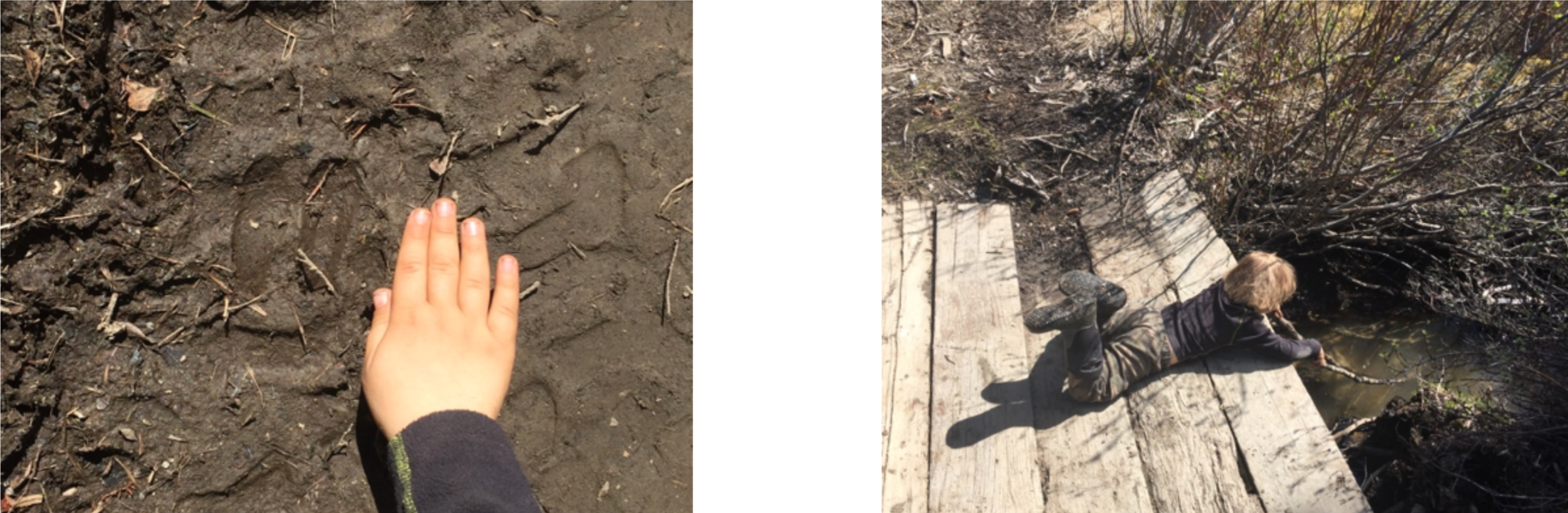 Max finds a baby moose track