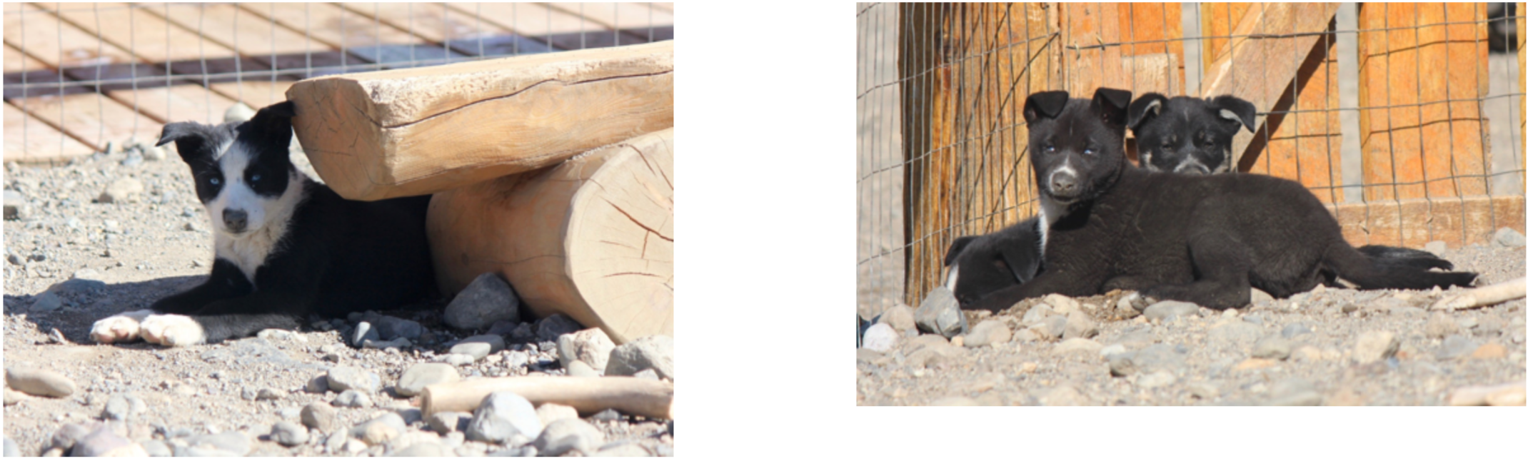 Screen Shot 2020-04-09 at 4.31.41 AM.png