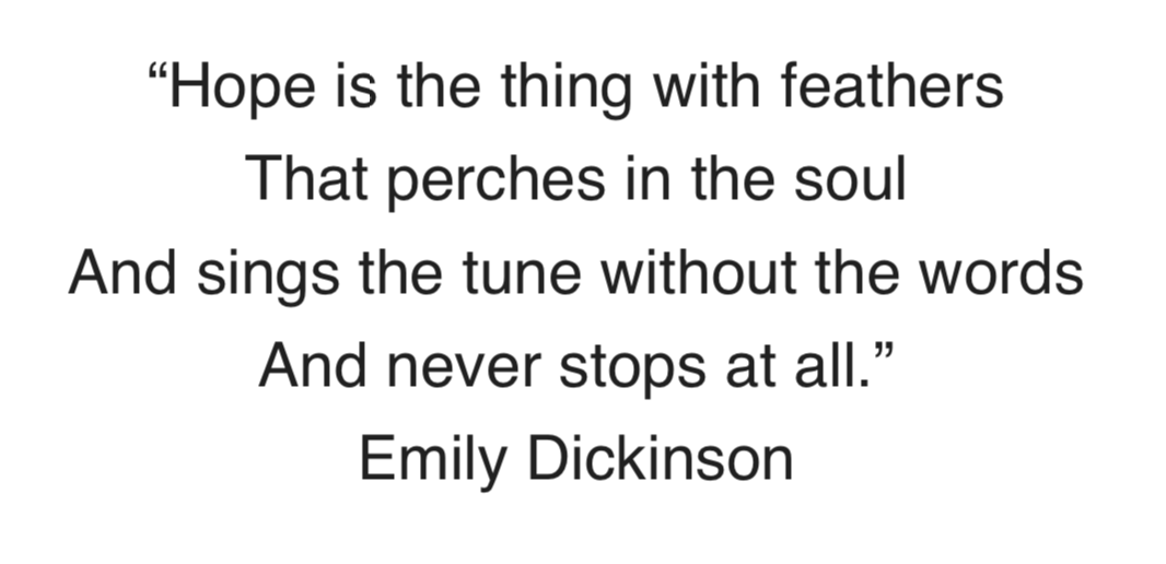 Screen Shot 2020-04-10 at 8.20.23 PM.png