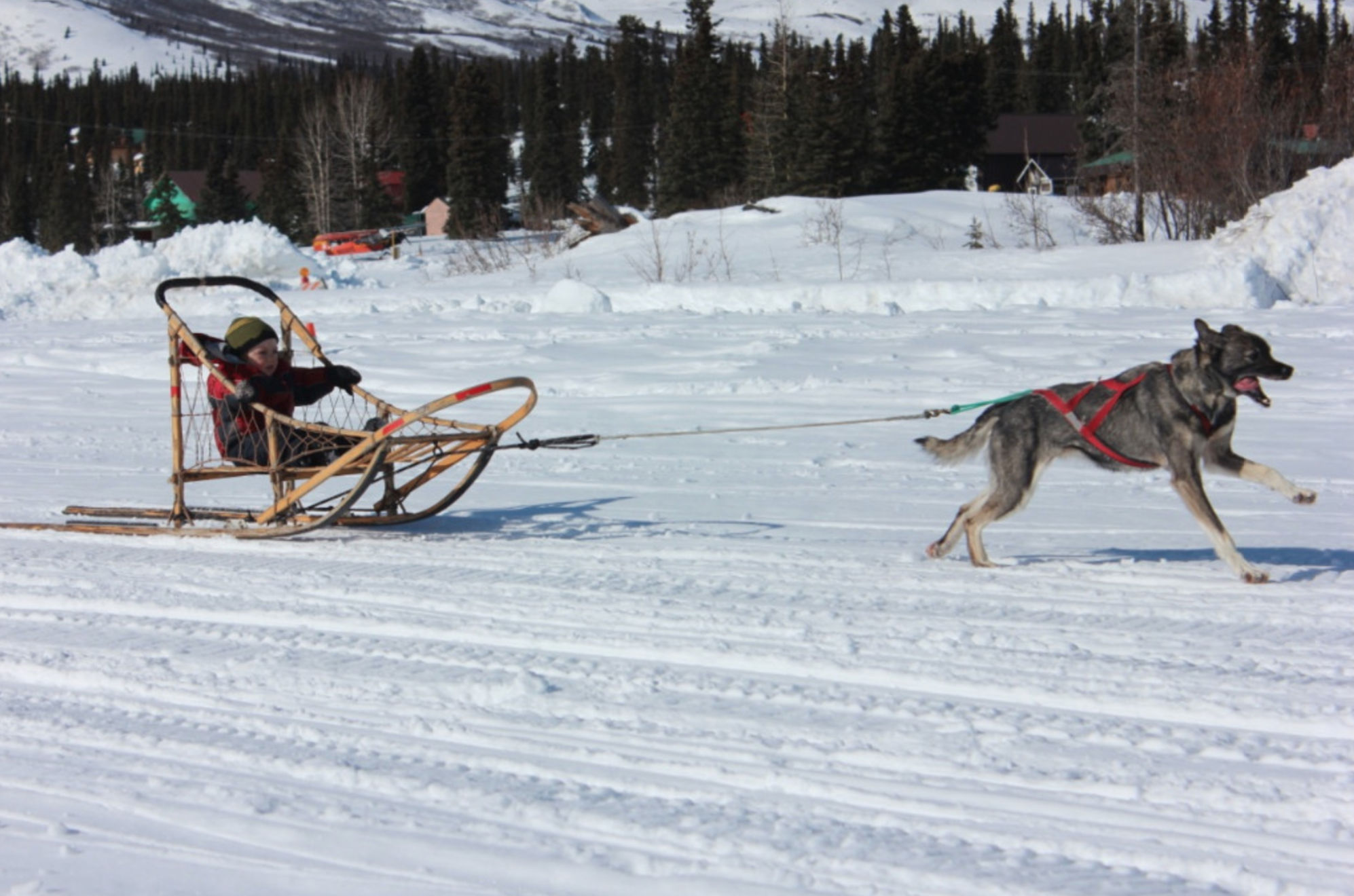 The biggest race of the season. Max and Zazu flying down the airstrip.